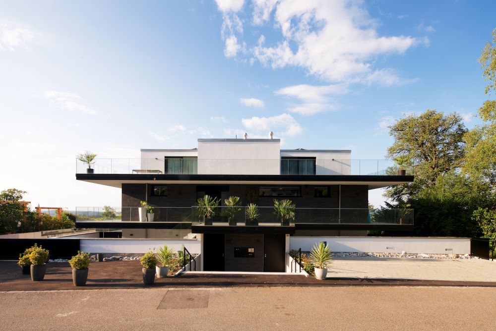Hauseingang mit Pflanzen von einem modernen Design Villa