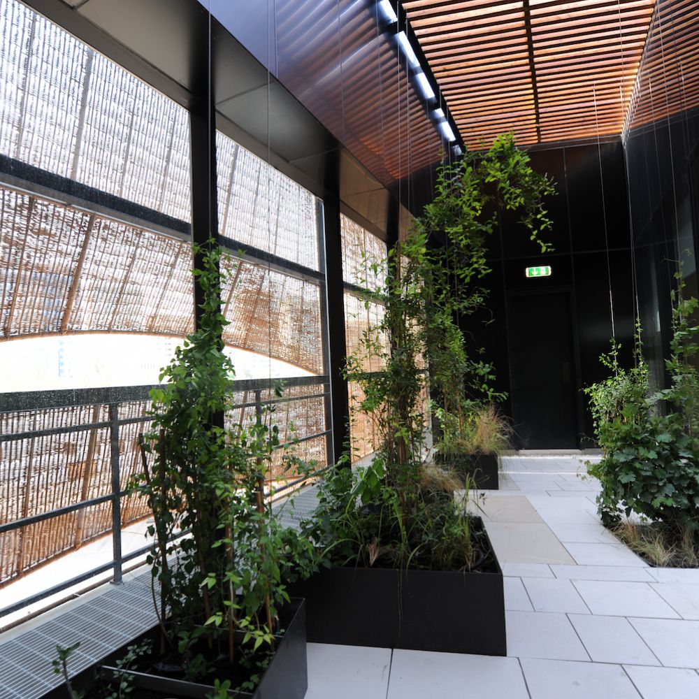 Innenkorridor mit Innenglaswand, grünen Pflanzen und Willow Wicker Fassade