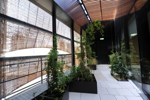 Innenkorridor mit Innenglaswand, grünen Pflanzen und Willow Wicker Fassade